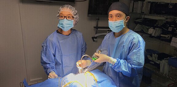Advanced VetCare Veterinary Centre (Bedok)