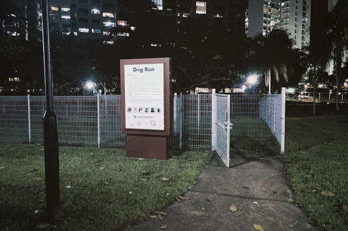 BedokTownParkDogRun(Google)RP 2023