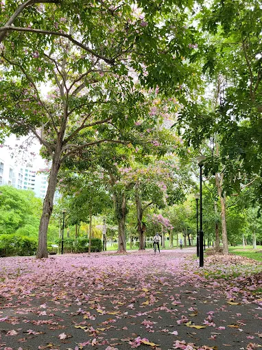 BedokTownParkDogRun(Google)Sourangshu Mallick 2024