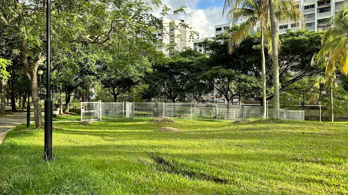 BedokTownParkDogRun(Google)Wei Li 2024