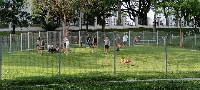ClementiWoodsParkDogRun(Google)Forest BK 2025 (1)