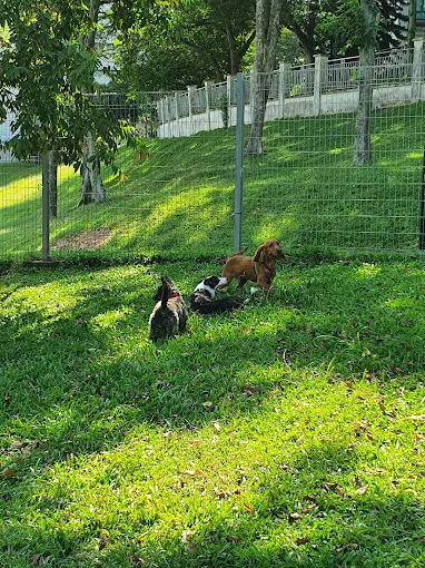 ClementiWoodsParkDogRun(Google)Monica Mello 2022