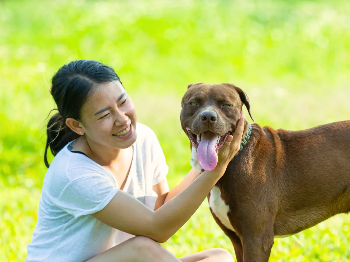 Gaia Vets Singapore (Jalan Besar)1