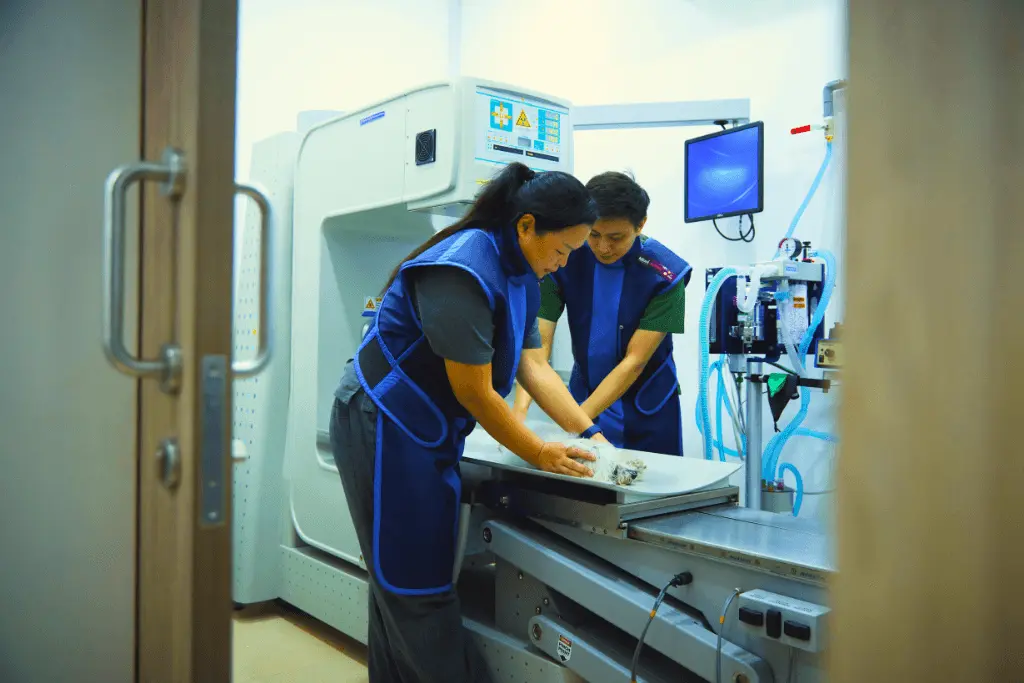 Gaia Vets Singapore (Jalan Besar)3