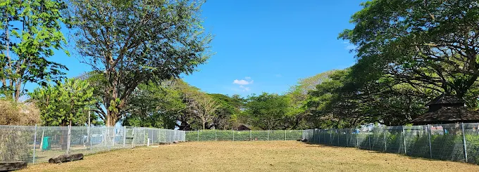 PasirRisParkDogRun(Google)Elok Robert Tee 2024