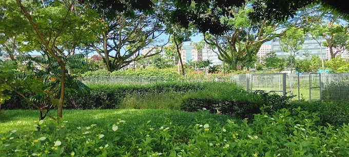 SunPlaza(Google)Forest BK 2025(2)