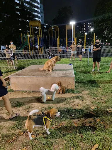 TampinesCentralParkDogRun(Google)Vivian Kim 2021