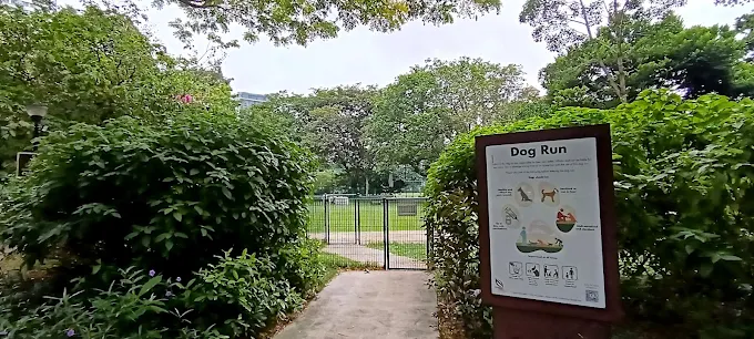 TiongBahruParkDogRun(Google)Forest BK 2025