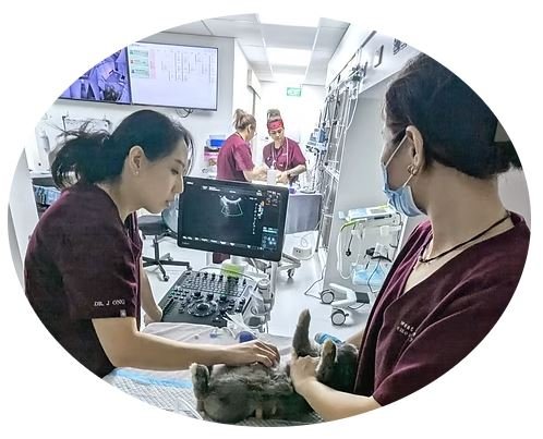 Westside Veterinary Hospital
