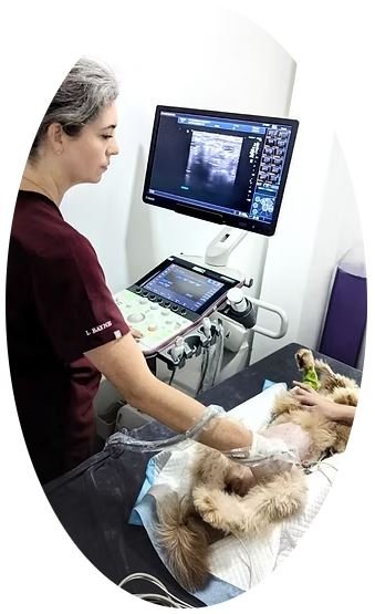 Westside Veterinary Hospital1