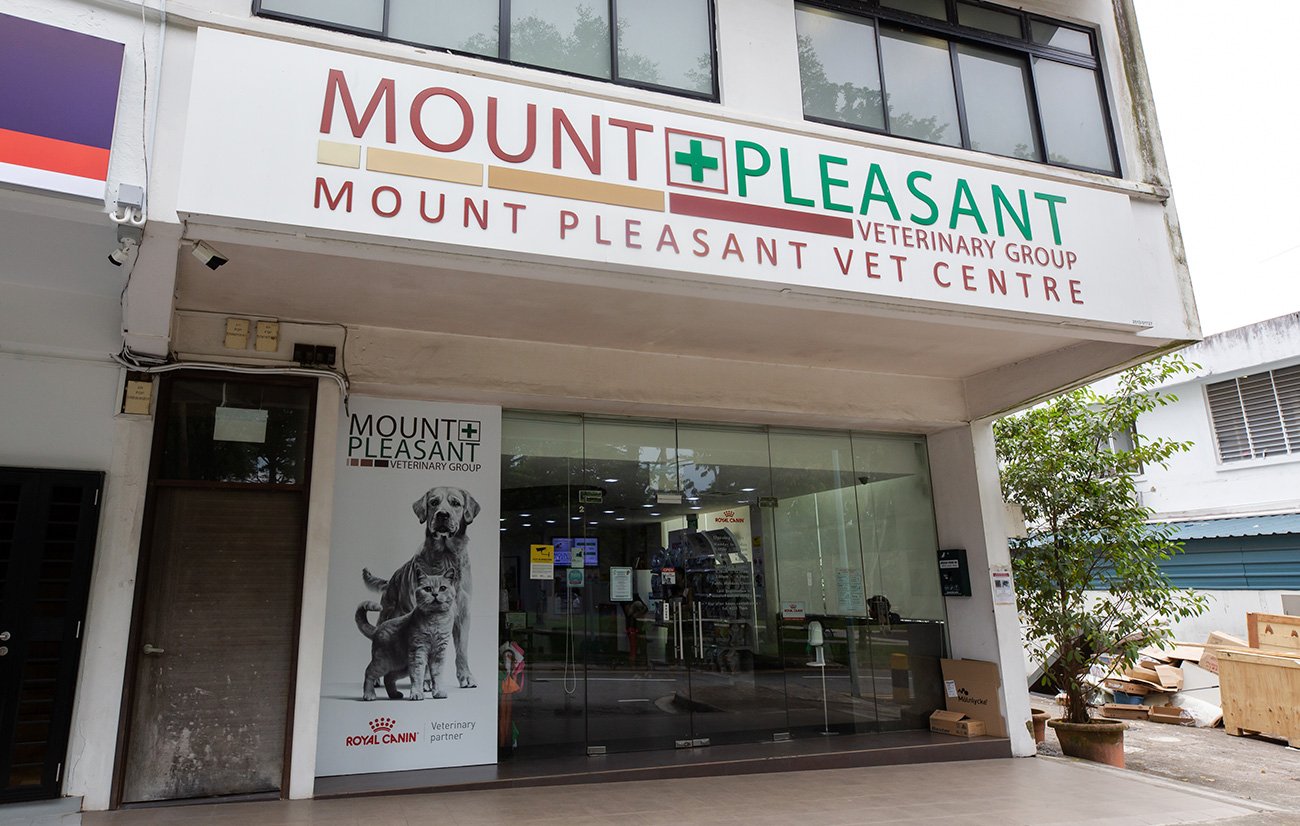 mount-pleasant-gelenggang-gallery-1
