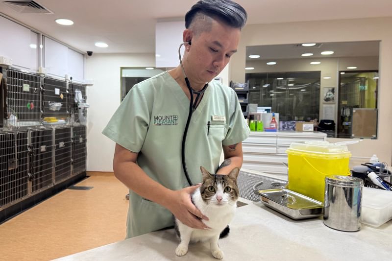 mpvg-gelenggang-general-services