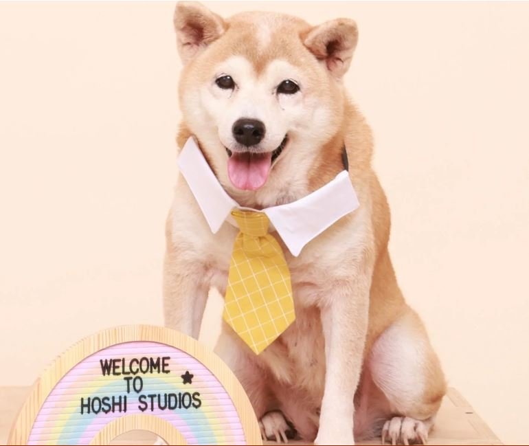 Hoshi Studio1