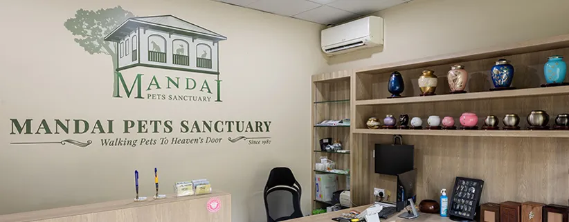Mandai Pets Sanctuary5