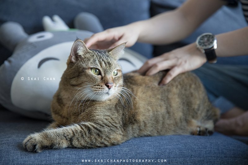Skai Chan Photography4