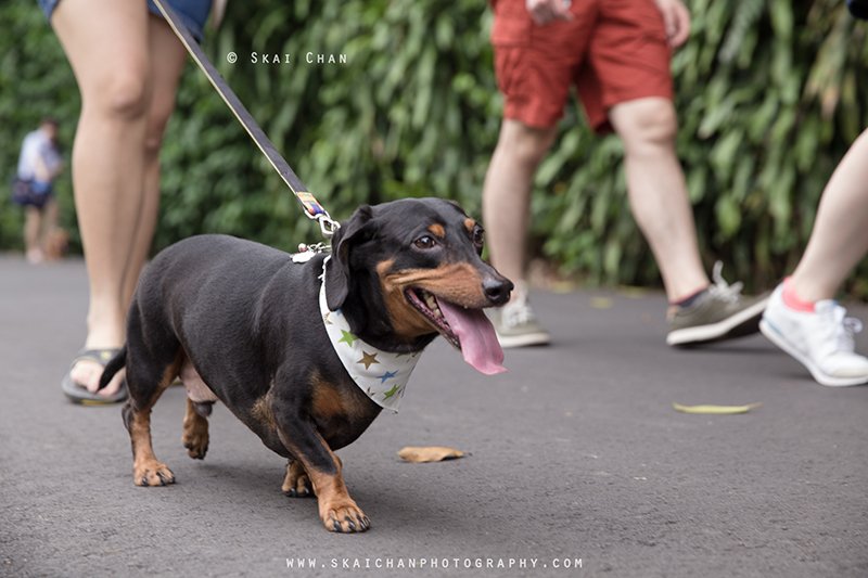 Skai Chan Photography8