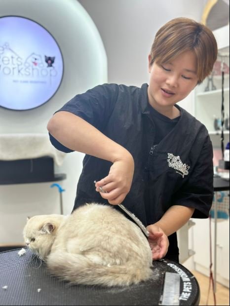 The Pet Workshop Kovan1
