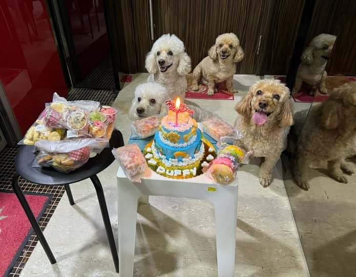 US Dog Bakery NEX Mall1