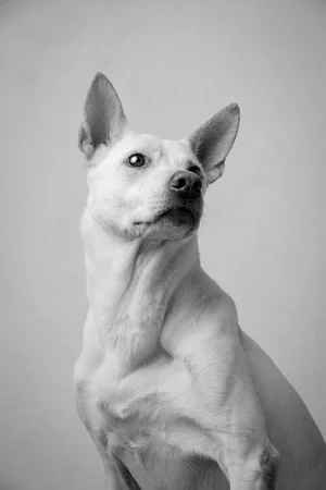 furtographed3