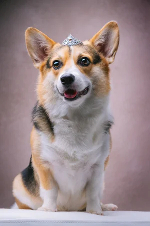 furtographed4
