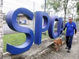 SPCA Singapore1