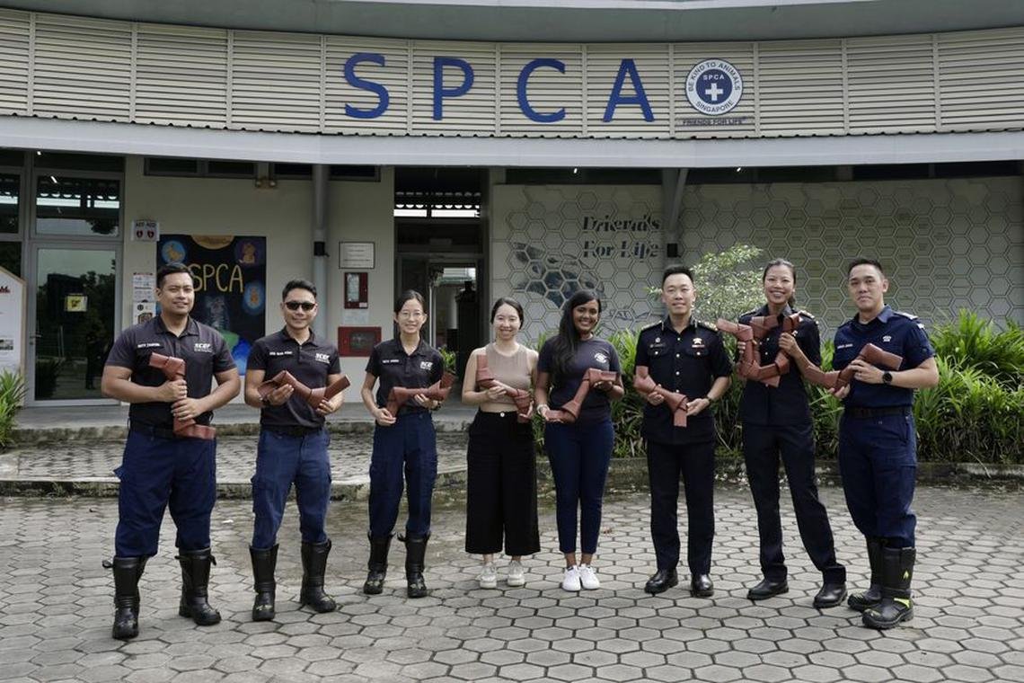 SPCA Singapore2