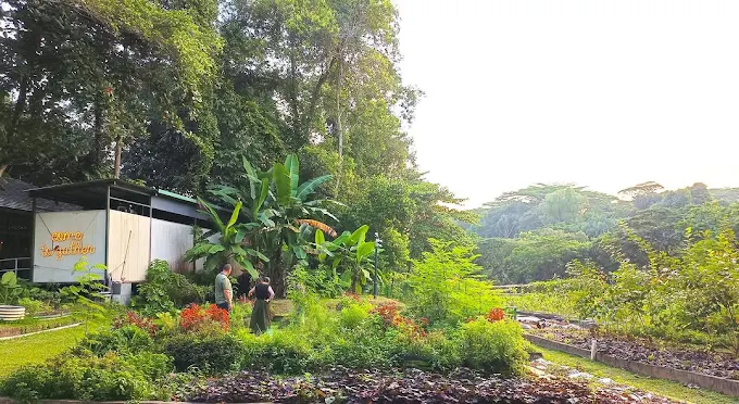 Open Farm Community4
