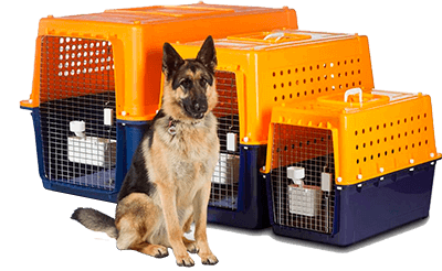 Shiloh Animal Express2