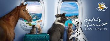 Shiloh Animal Express3