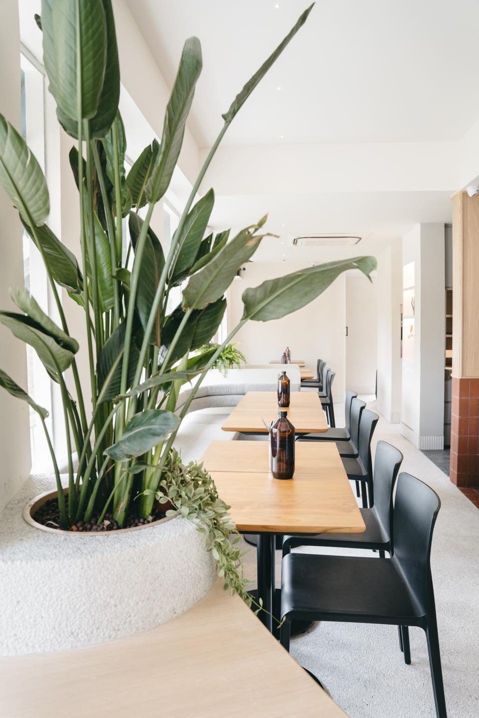 Lola Cafe ( Holland Village )2