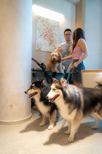 BYD Zhongshan Park 18262