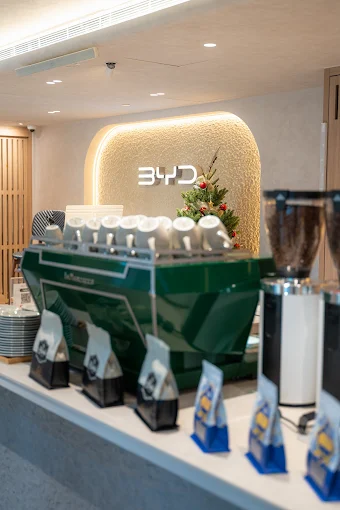 BYD Zhongshan Park 18263