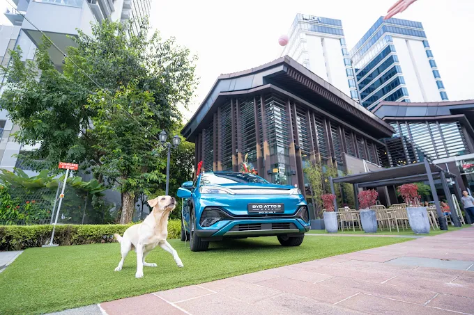 BYD Zhongshan Park 18264