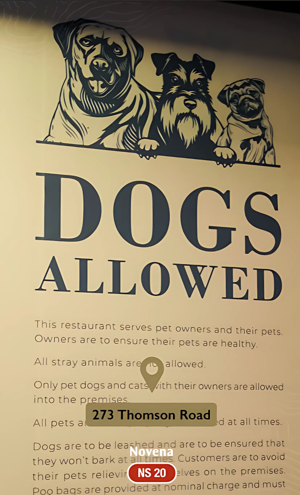 Tomahawk - Contemporary Steakhouse (Novena)4