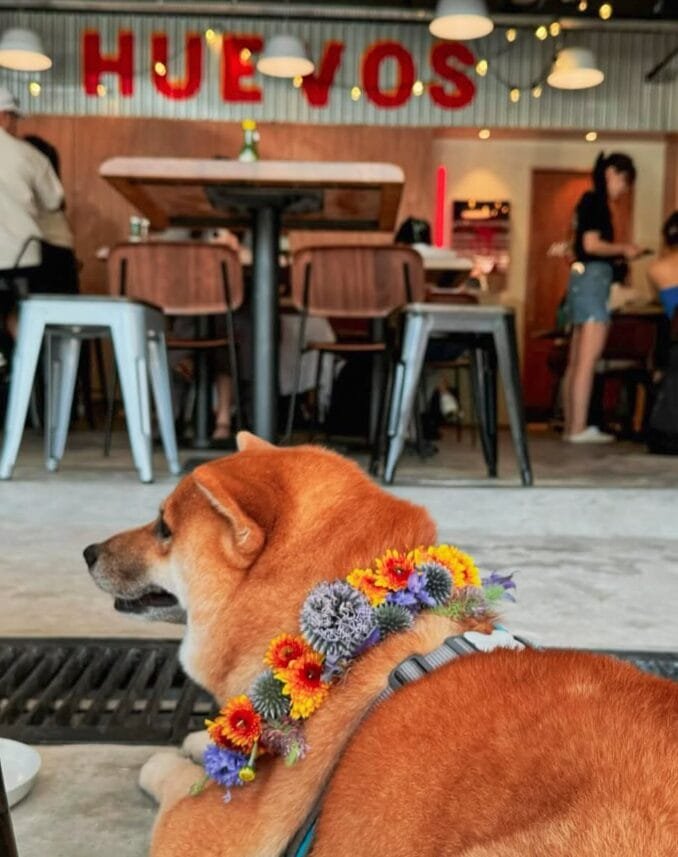 Screenshot 2026-02-20 155653