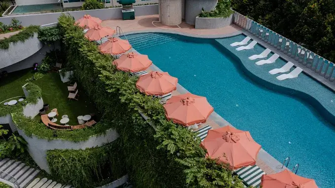 Singapore pet grooming services including bathing, trimming, and styling