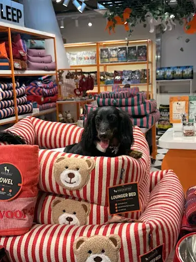 Heads Up For Tails Pet Store & Spa – Wheelock1