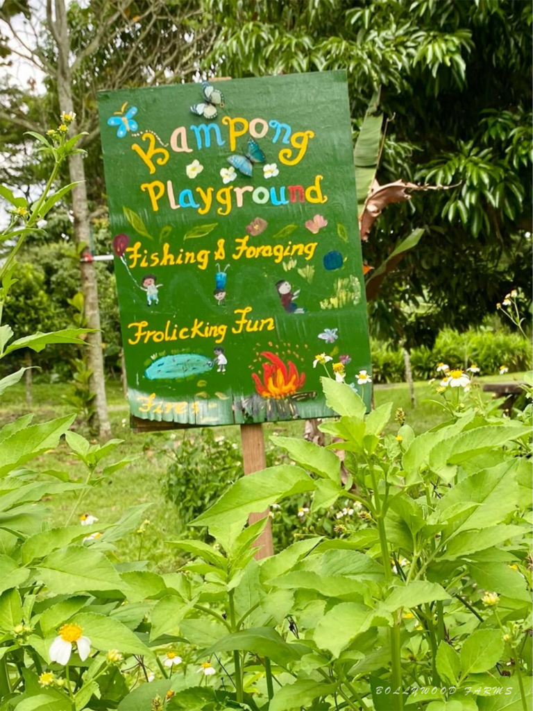 Poison Ivy ( Bollywood Farms )1