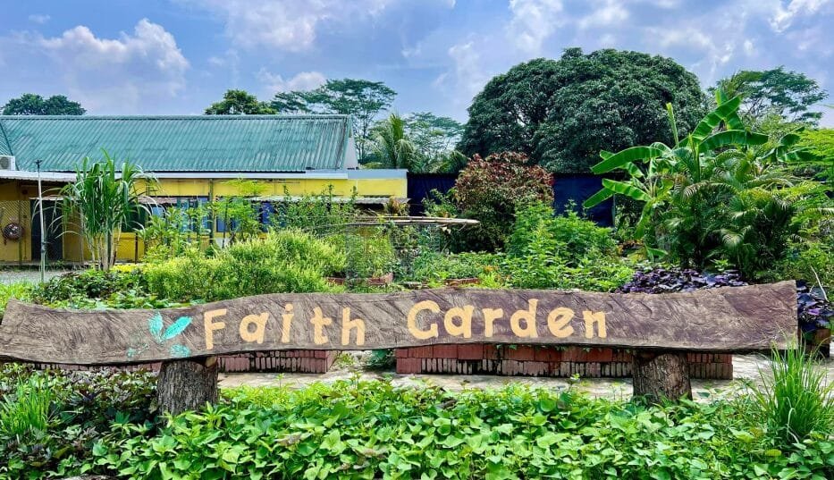 Poison Ivy ( Bollywood Farms )3