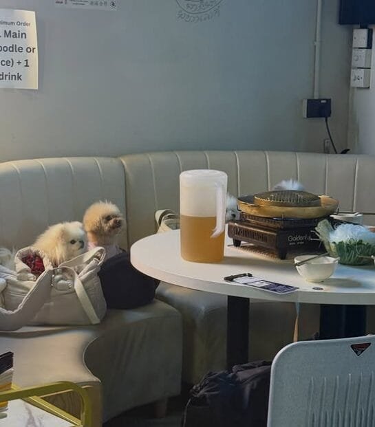 Screenshot 2026-03-28 231441