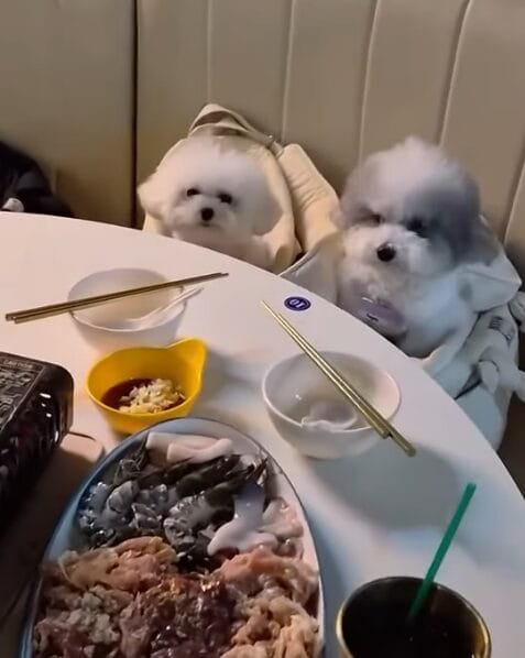 Screenshot 2026-03-28 231533