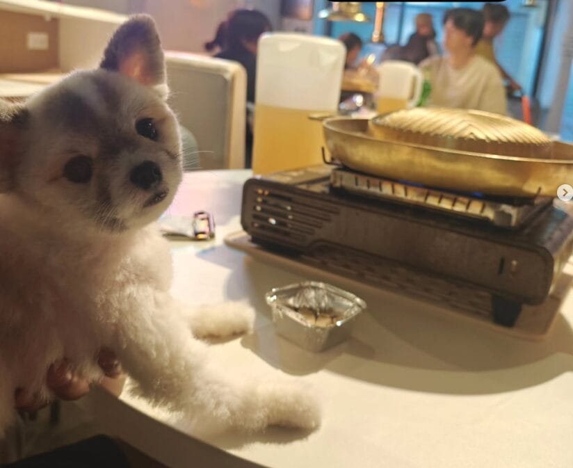 Screenshot 2026-03-28 231609