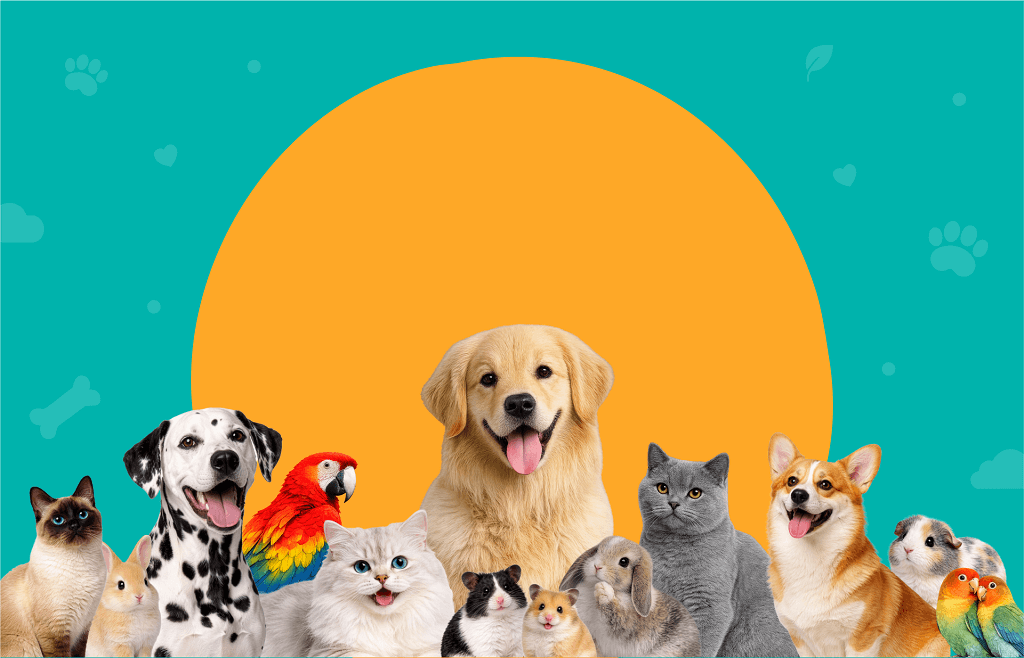 Pet events in Singapore featuring fun activities, exhibitions, and gatherings for pets