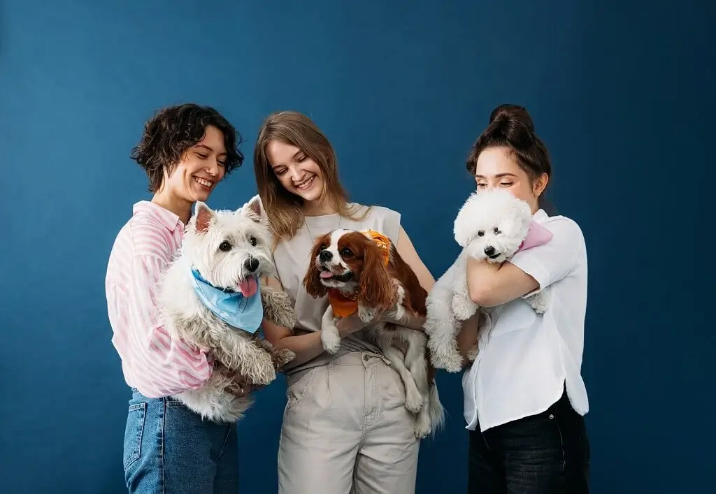 Pet-friendly Singapore scene with three young women holding their cute small dogs in a photoshoot